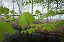 BUITEN BEELD Foto: 57743