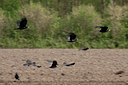 BUITEN BEELD Foto: 57772