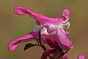 BUITEN BEELD Foto: 57806