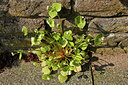 BUITEN BEELD Foto: 57816