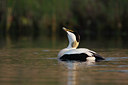 BUITEN BEELD Foto: 57902
