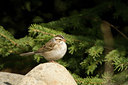 BUITEN BEELD Foto: 57914
