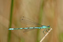 BUITEN BEELD Foto: 57948