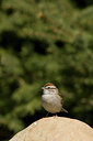 BUITEN BEELD Foto: 57953