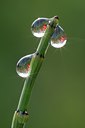 BUITEN BEELD Foto: 57964