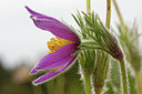 BUITEN BEELD Foto: 57973