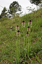 BUITEN BEELD Foto: 57981