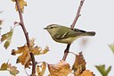 BUITEN BEELD Foto: 58018