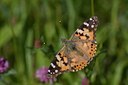 BUITEN BEELD Foto: 58028