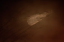 BUITEN BEELD Foto: 58055