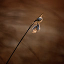 BUITEN BEELD Foto: 58057