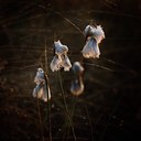 BUITEN BEELD Foto: 58058