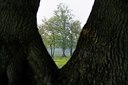 BUITEN BEELD Foto: 58064