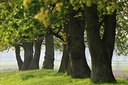 BUITEN BEELD Foto: 58080