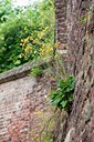 BUITEN BEELD Foto: 58096
