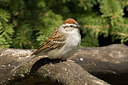 BUITEN BEELD Foto: 58103