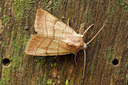 BUITEN BEELD Foto: 58120