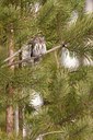 BUITEN BEELD Foto: 58164