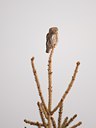 BUITEN BEELD Foto: 58180