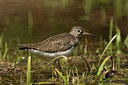 BUITEN BEELD Foto: 58203
