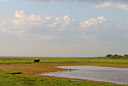 BUITEN BEELD Foto: 58222