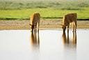 BUITEN BEELD Foto: 58233