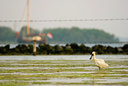 BUITEN BEELD Foto: 58275