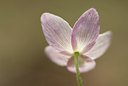 BUITEN BEELD Foto: 58317