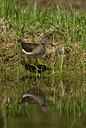 BUITEN BEELD Foto: 58319