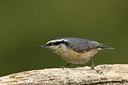 BUITEN BEELD Foto: 58320