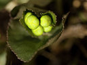 BUITEN BEELD Foto: 58326