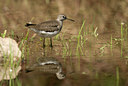 BUITEN BEELD Foto: 58327