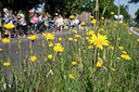 BUITEN BEELD Foto: 58334