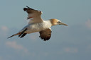 BUITEN BEELD Foto: 58351