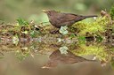 BUITEN BEELD Foto: 58364