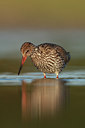 BUITEN BEELD Foto: 58373