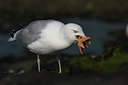 BUITEN BEELD Foto: 58384