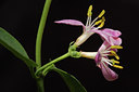 BUITEN BEELD Foto: 58435