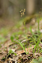 BUITEN BEELD Foto: 58436