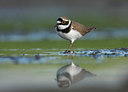 BUITEN BEELD Foto: 58454