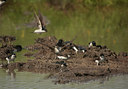 BUITEN BEELD Foto: 58471