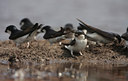 BUITEN BEELD Foto: 58473