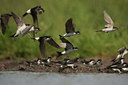 BUITEN BEELD Foto: 58492