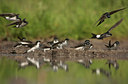 BUITEN BEELD Foto: 58505
