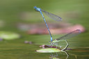 BUITEN BEELD Foto: 58545