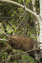 BUITEN BEELD Foto: 58578