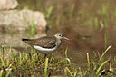 BUITEN BEELD Foto: 58581