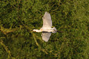 BUITEN BEELD Foto: 58589