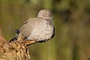 BUITEN BEELD Foto: 58632
