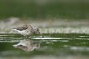 BUITEN BEELD Foto: 58656